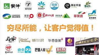 战略顾问与品牌策略 企业管理咨询的智慧引擎